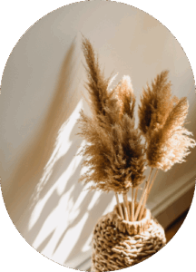 Parlor Palm